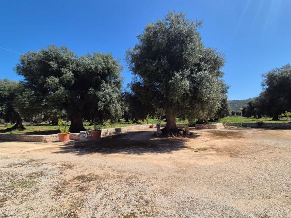 Villa in Contrada Gravinella, Fasano — foto 5 di 5