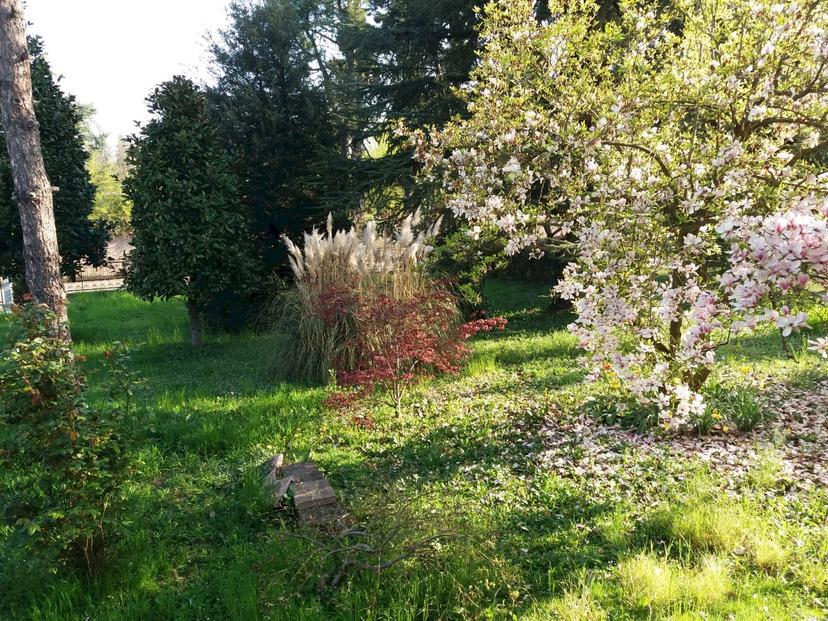 Villa in Via Quattro Madonne, Castelnuovo Rangone — foto 5 di 5