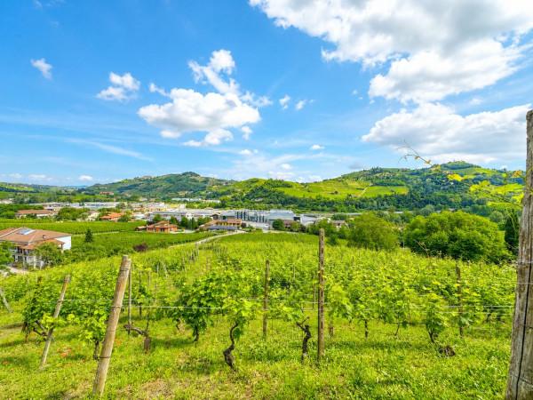 Cascina in Località Robini, Santo Stefano Belbo