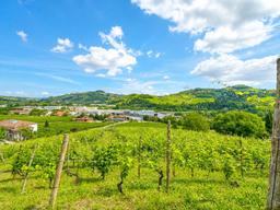 Cascina in Località Robini, Santo Stefano Belbo