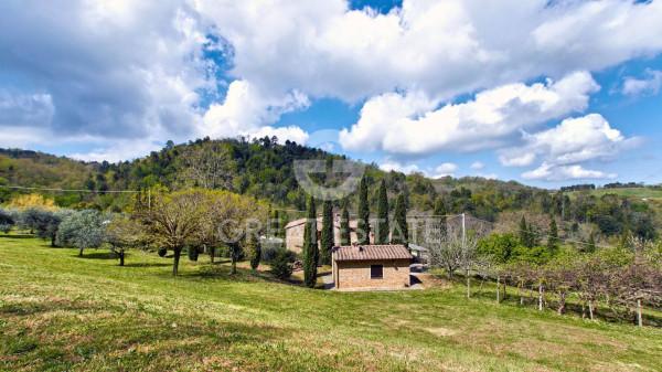 Casale in Via Podere Canapaia, Chianni — foto 5 di 5