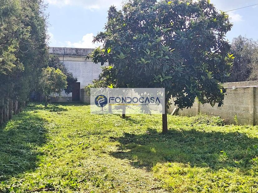 Casa indipendente in Via Savoia, Minervino di Lecce — foto 3 di 5