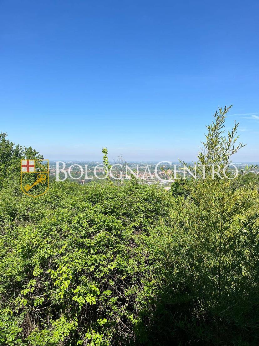 Casa indipendente in Via Don Giovanni Minzoni, Zola Predosa — foto 5 di 5