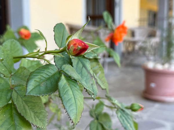 Villa a schiera in Via Aldo Moro 16, Torrazza Coste — foto 4 di 5