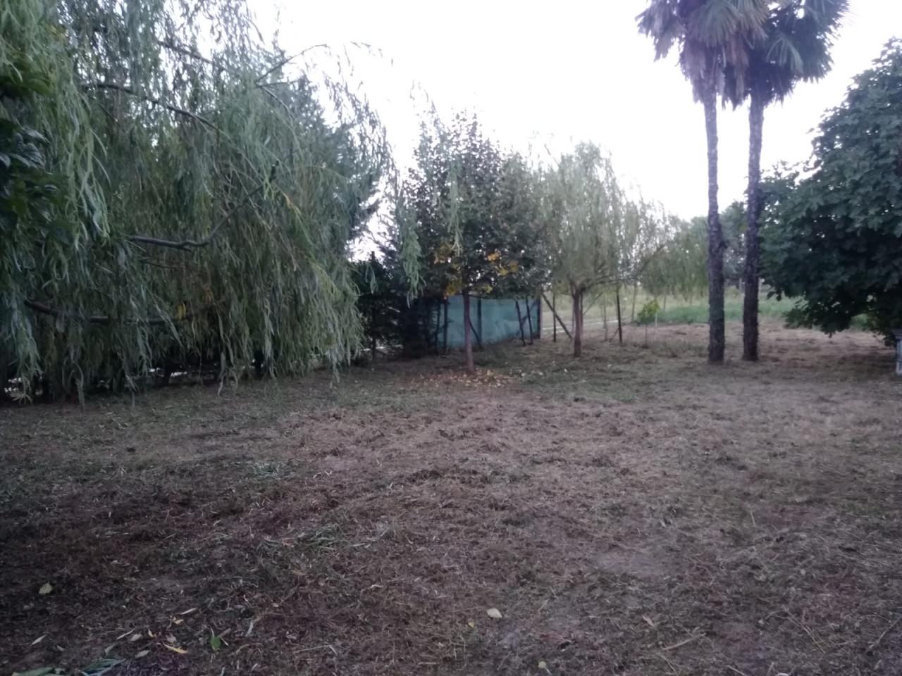 Cascina in Via Peagnola, Ospedaletto Euganeo