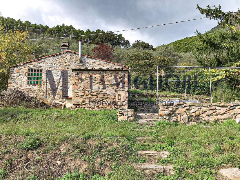 Casa indipendente, Calci — foto 3 di 5