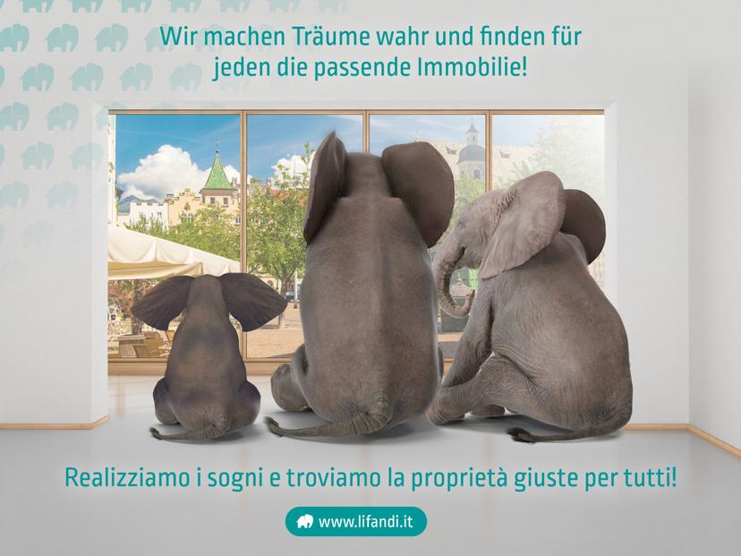 Trilocale, Magrè sulla strada del vino