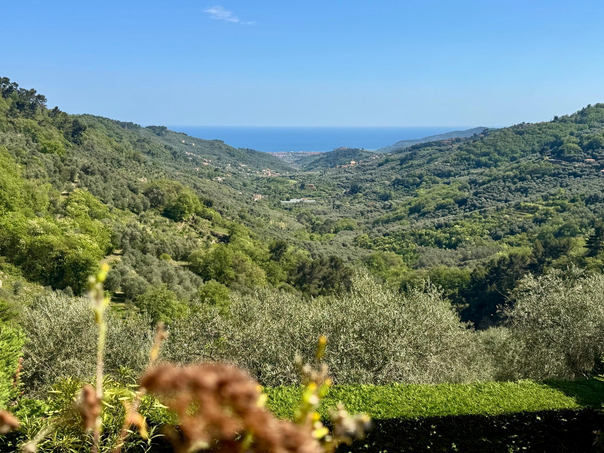 Bilocale in Gli Olivi 4c, Diano Arentino
