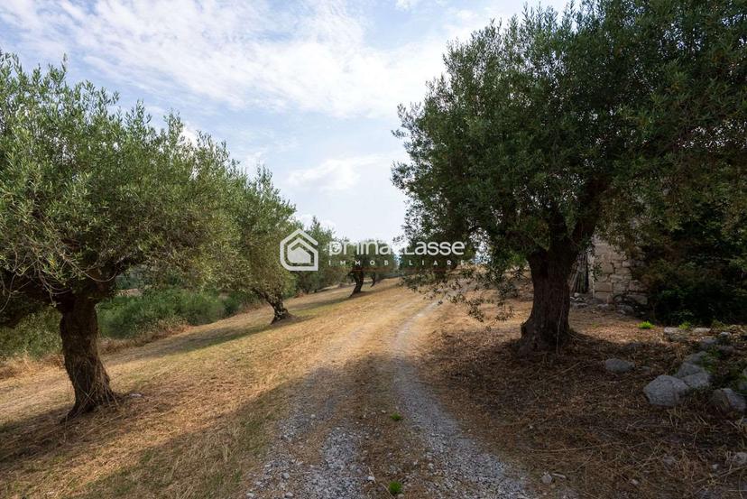Rustico, Modica — foto 2 di 5