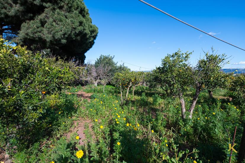 Casa indipendente in Via delle Querce 34, Vittoria — foto 5 di 5