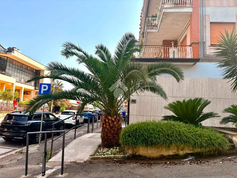 Quadrilocale in V.Gaetano di Biasio 136, Cassino — foto 2 di 5