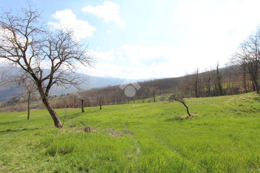 Casa indipendente in Strada Provinciale 95 10, Villa Minozzo — foto 4 di 5