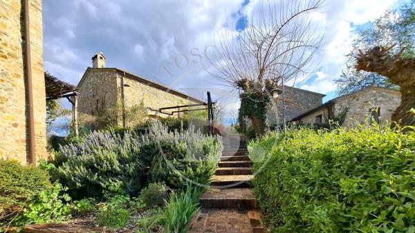 Casale in Località Pietti, Casole d'Elsa — foto 3 di 5