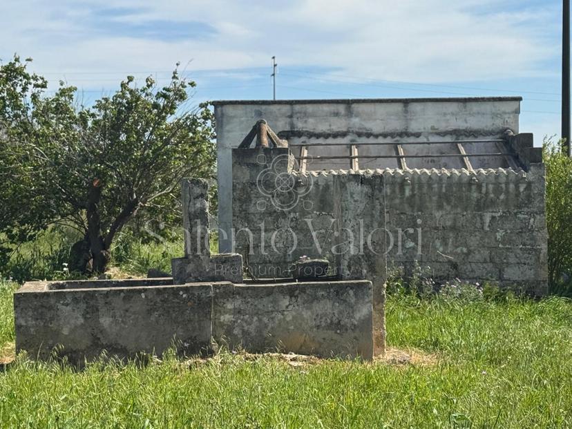 Casa indipendente in Strada Provinciale 262, Matino — foto 4 di 5