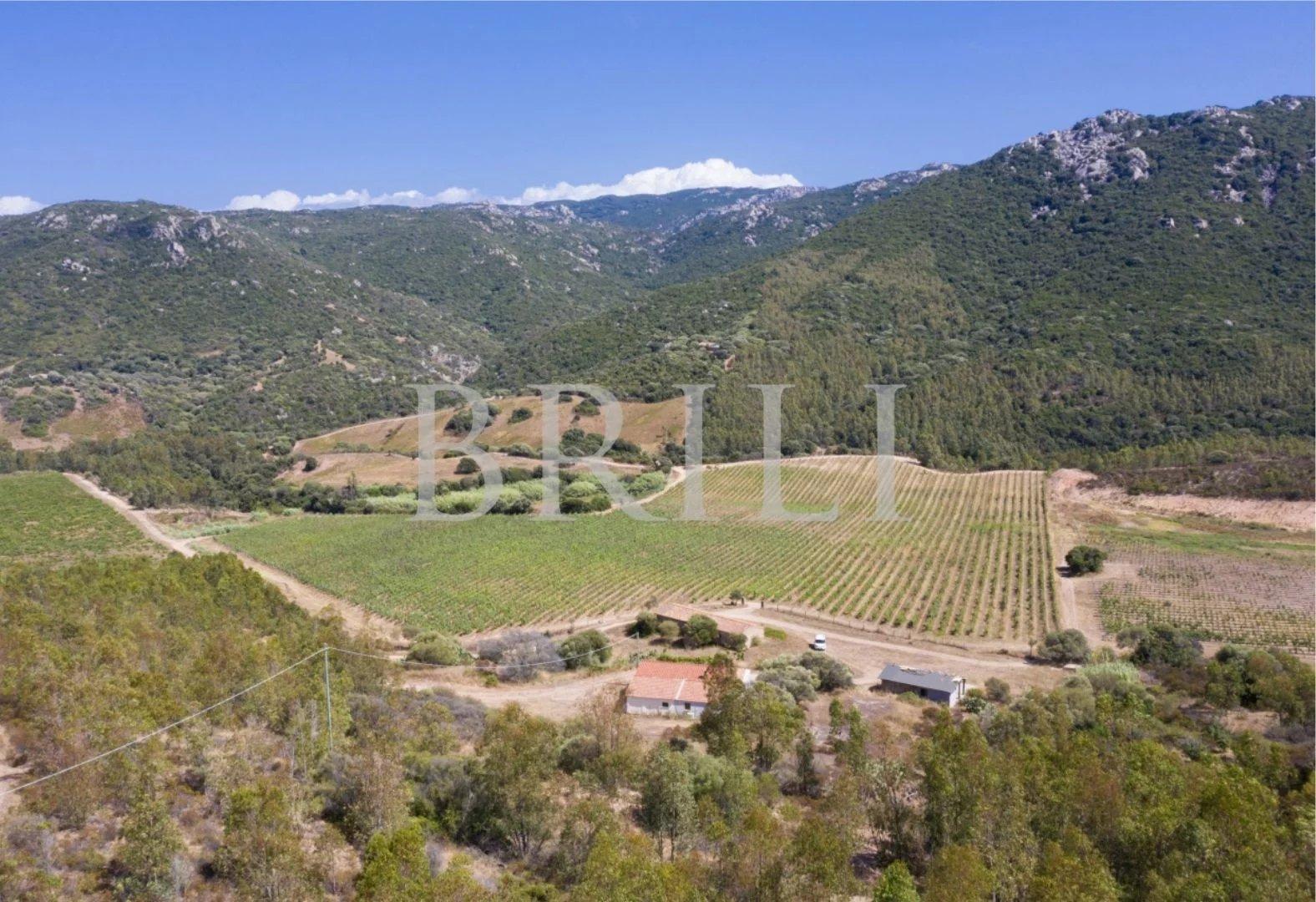 Casa indipendente, Trinità d'Agultu e Vignola