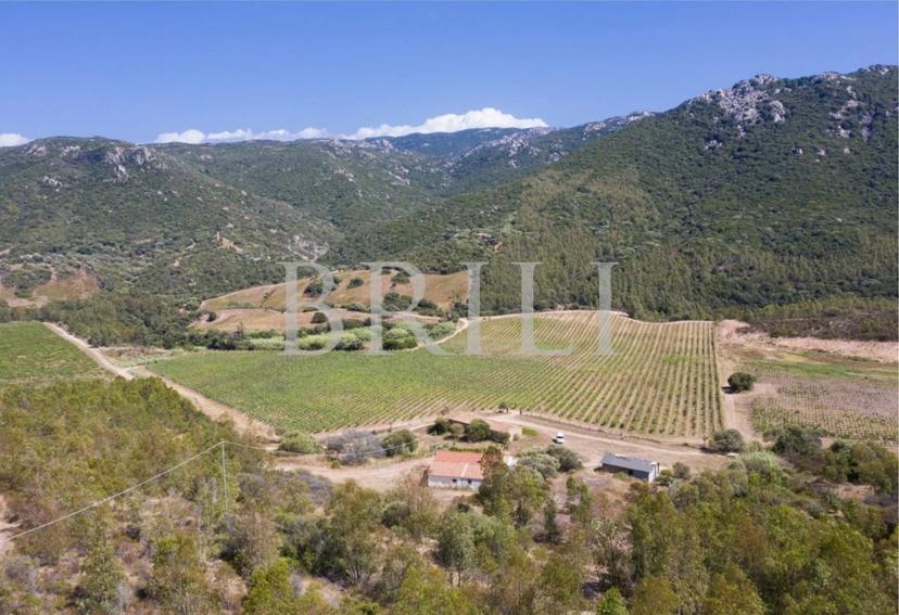 Casa indipendente, Trinità d'Agultu e Vignola