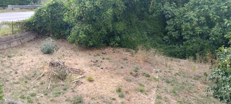 Appartamento, Magione