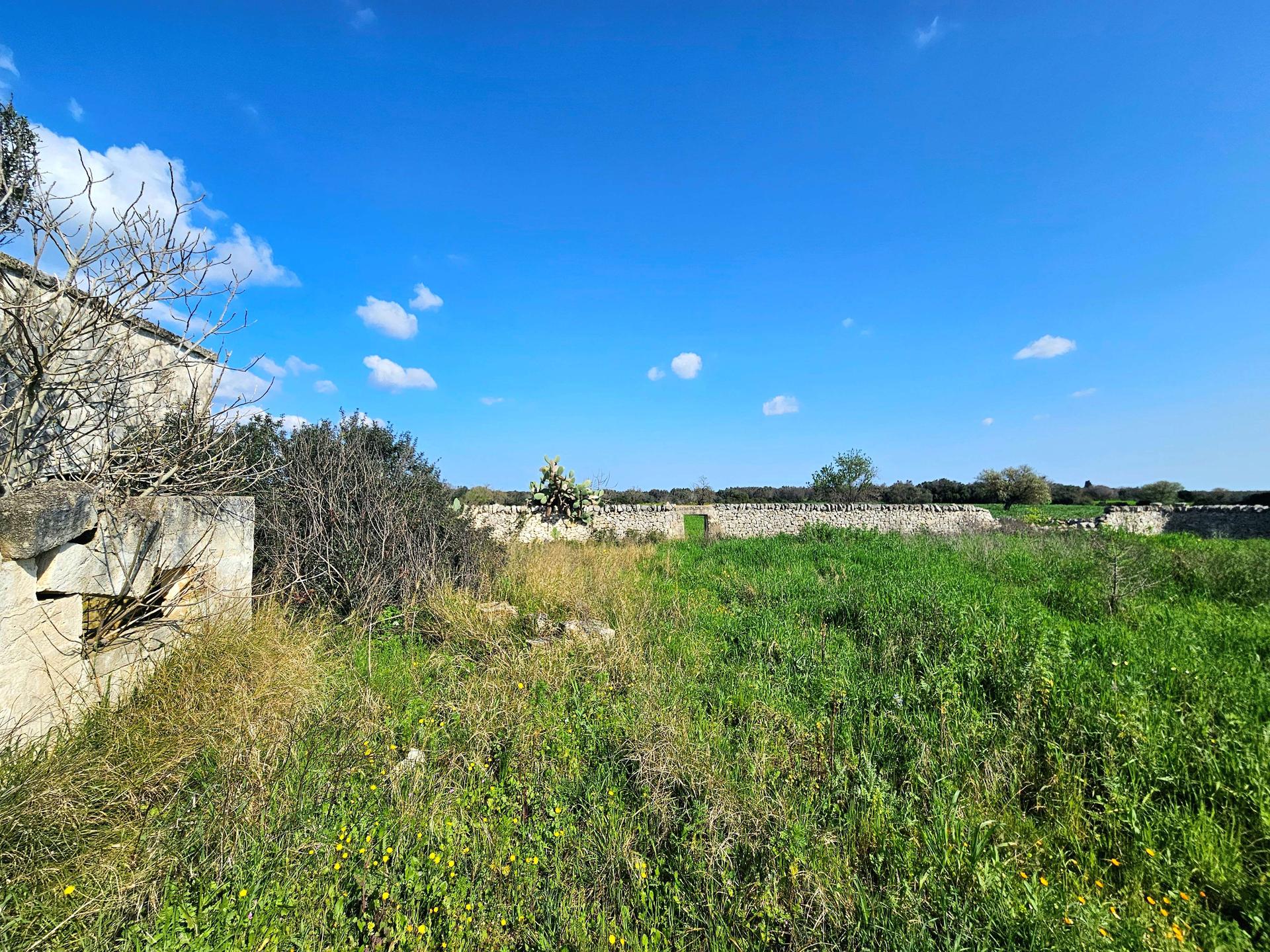 Rustico, Latiano