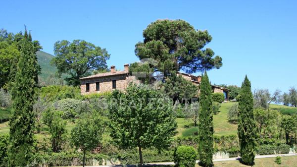 Casale in Via Vecciano, Cetona — foto 2 di 5