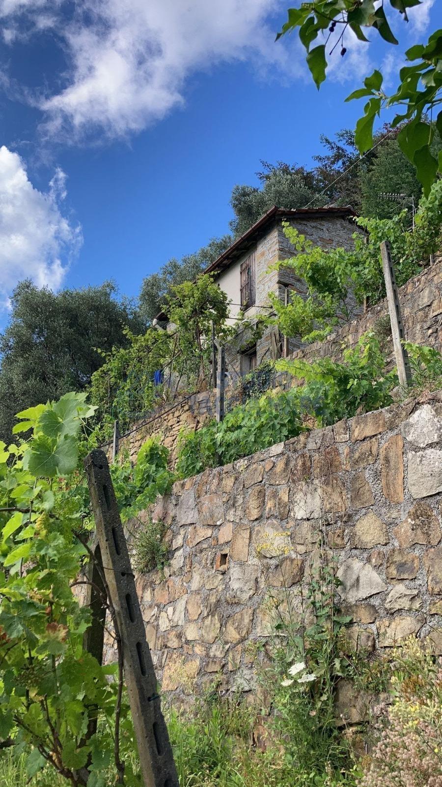 Rustico in Regione Ortai, Badalucco