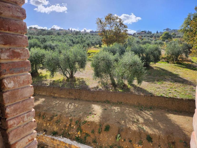 Rustico in Strada Comunale Savinanza 18, Lucignano — foto 2 di 5
