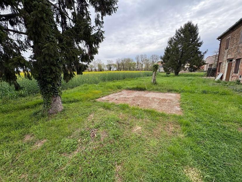 Rustico, Ferrara — foto 5 di 5