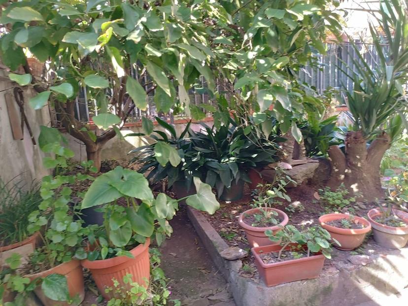 Casa indipendente in Via Galileo Galilei, Castelfranco di Sotto — foto 4 di 5