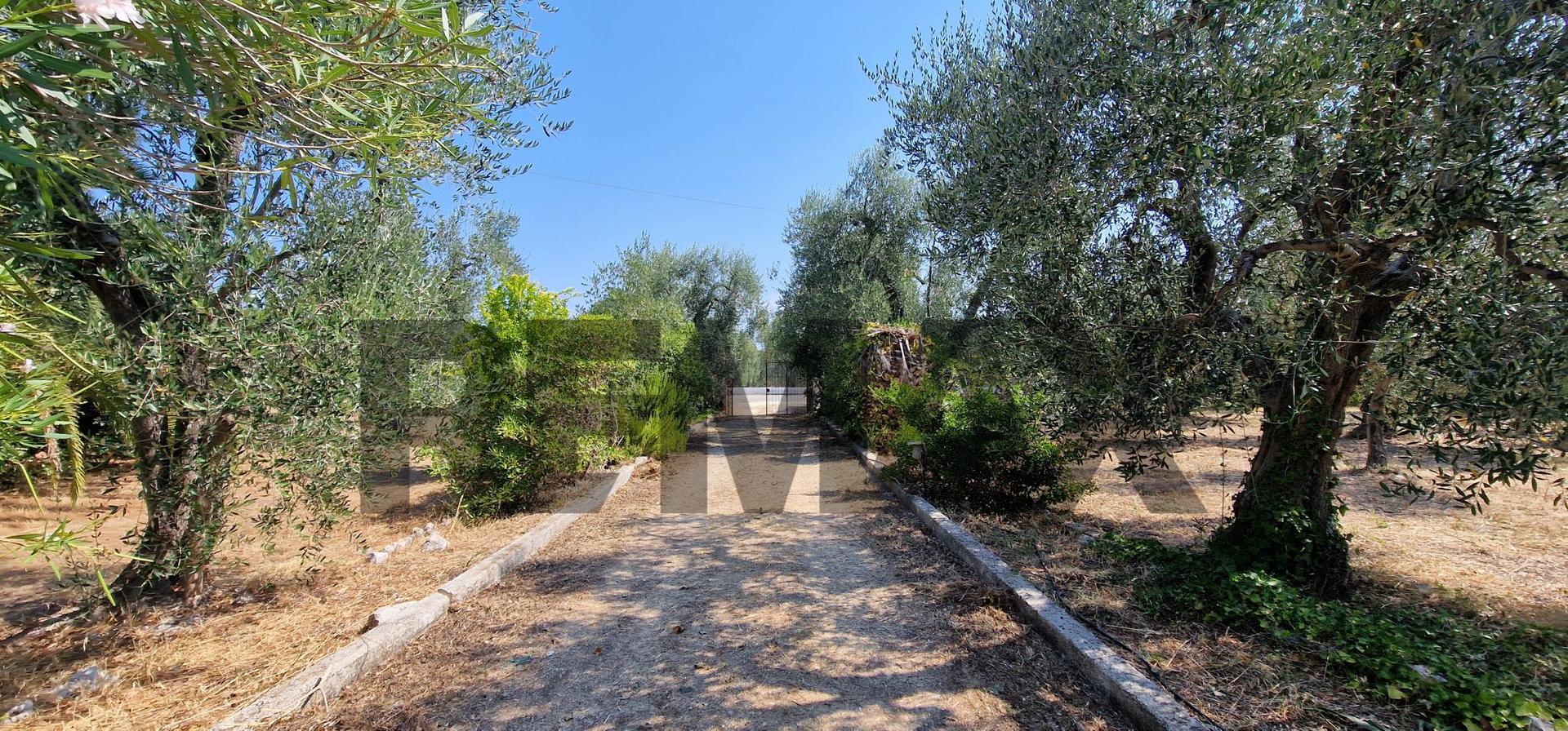 Villa in Umbramare 4, Vieste