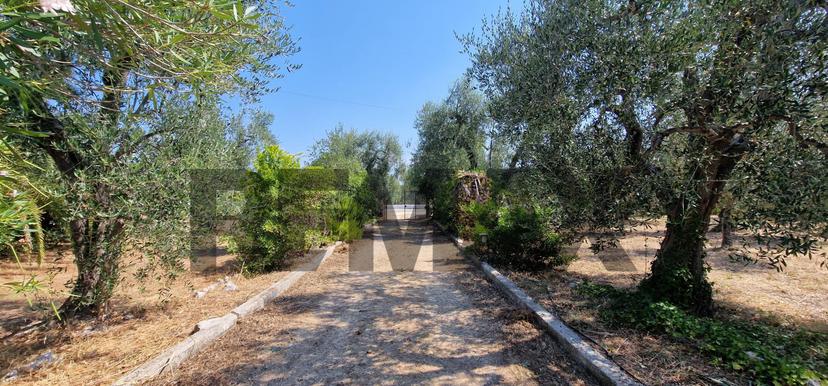 Villa in Umbramare 4, Vieste