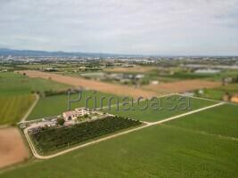 Rustico in Via Rizza, Castel d'Azzano — foto 5 di 5