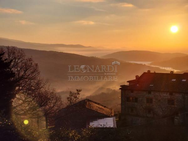 Villa, Caprese Michelangelo — foto 4 di 5