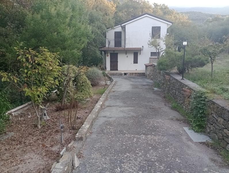 Casa indipendente in Strada  Olivastri, Lucinasco — foto 5 di 5