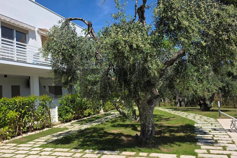 Appartamento in Località Pilone del Monaco Snc, Vieste