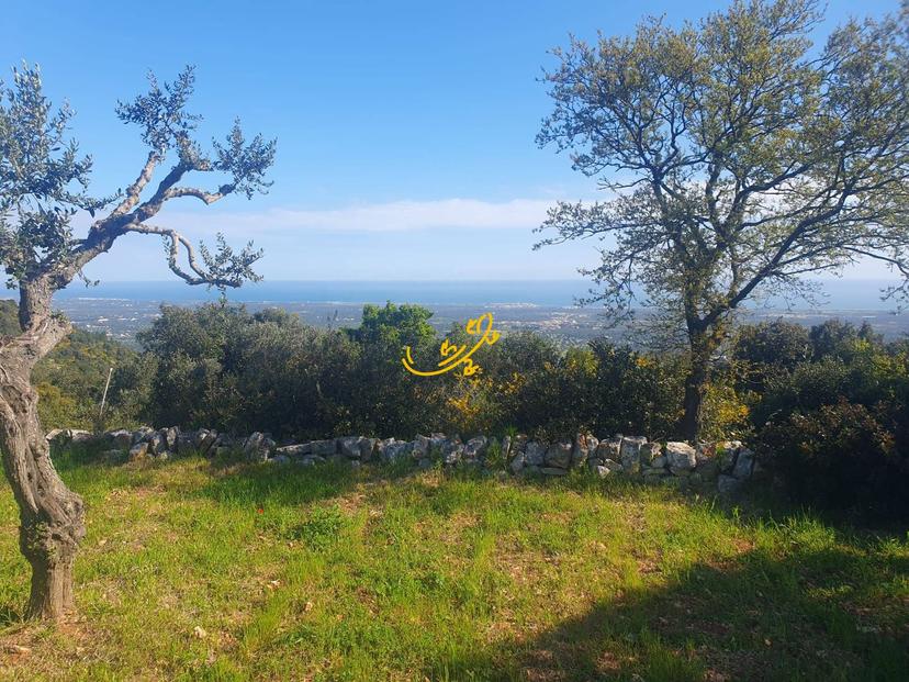 Abitazione tipica in Contrada Caranna, Cisternino — foto 2 di 5
