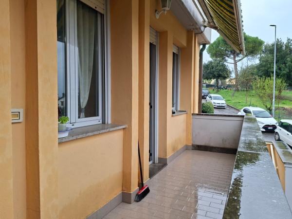 Villa a schiera in Via dei Tigli, Collazzone — foto 5 di 5