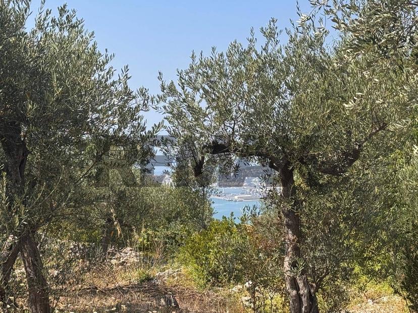 Rustico, Formia — foto 4 di 5