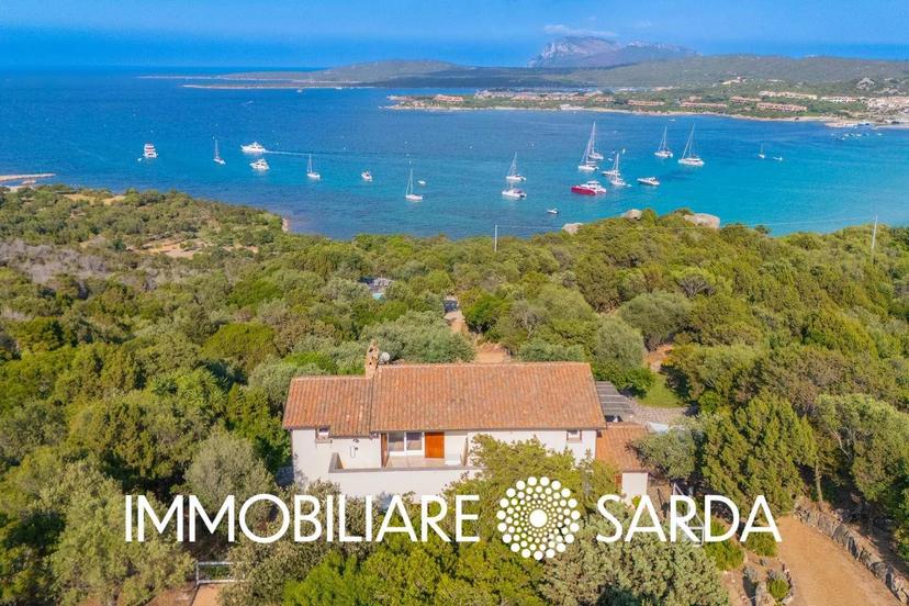 Villa, Olbia