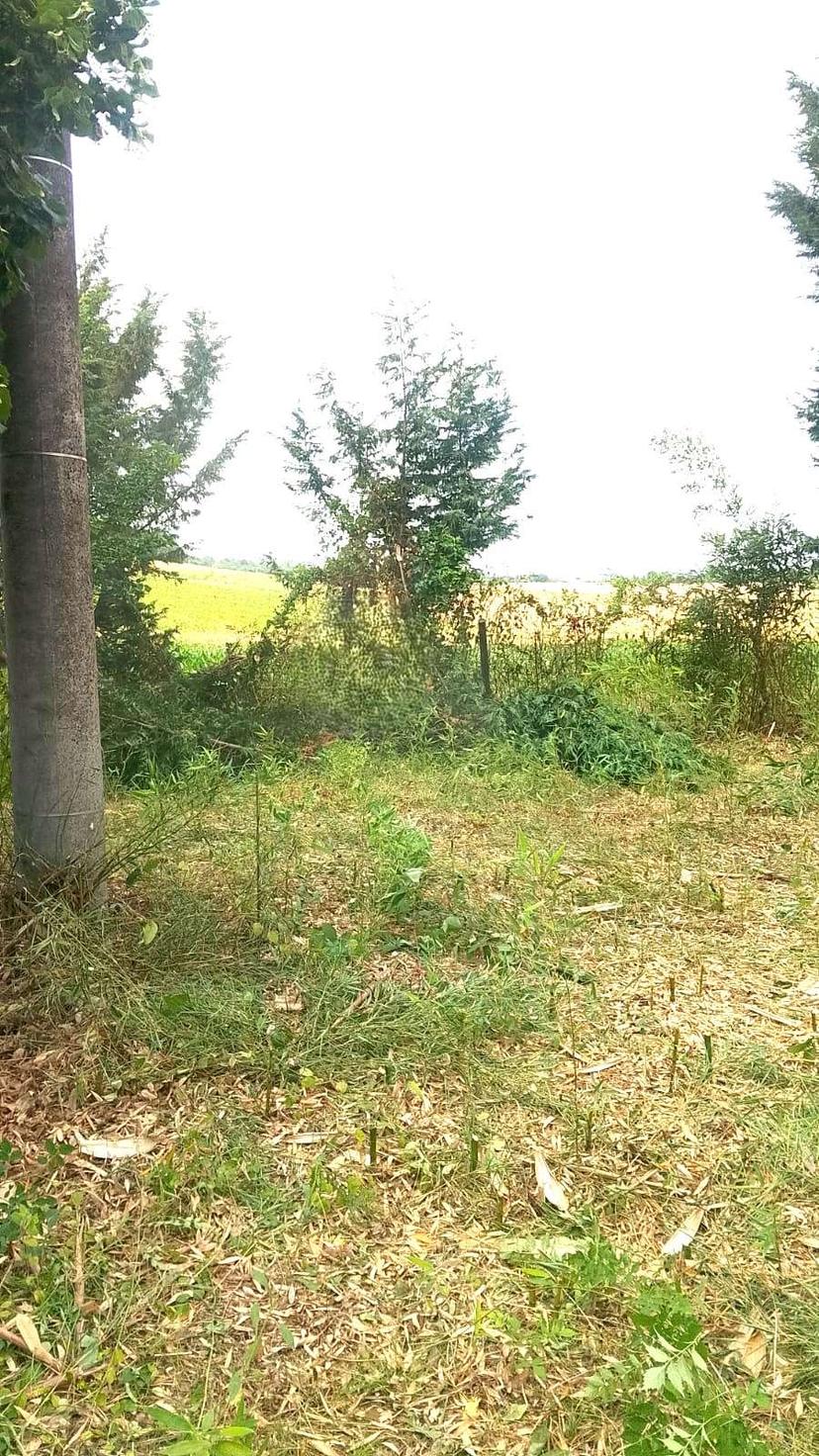 Rustico in Cascina Gibelli  52, Mirabello Monferrato — foto 2 di 5