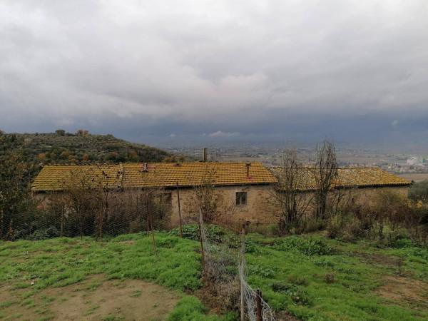 Casale in Strada della Cittadella, Torgiano — foto 2 di 5