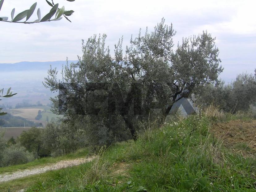 Rustico, Assisi — foto 4 di 5