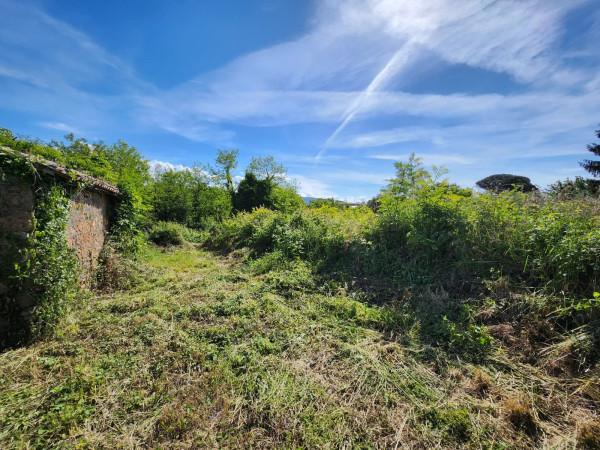 Rustico in Via Cardinal Pietro Parente, San Cesareo — foto 3 di 5