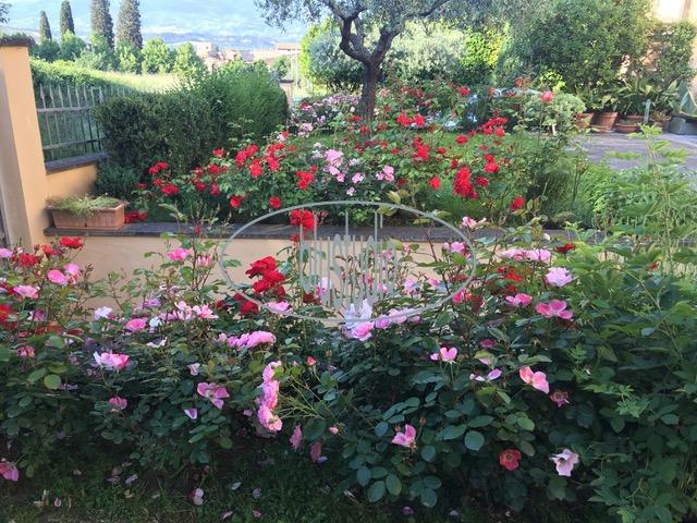 Appartamento, Figline e Incisa Valdarno — foto 5 di 5