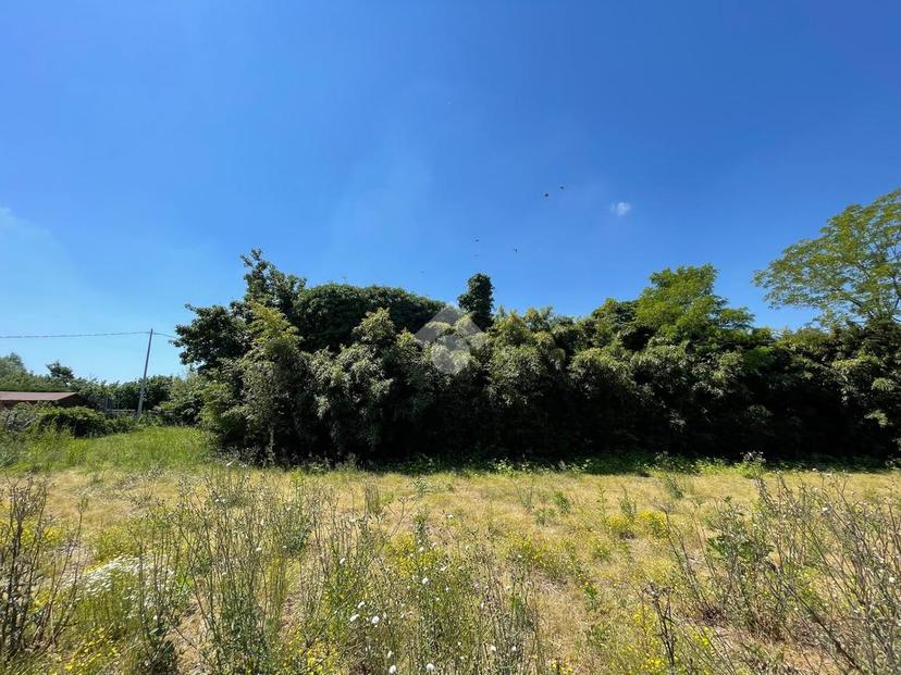 Villa in Via Albare 12, Trebaseleghe — foto 2 di 5