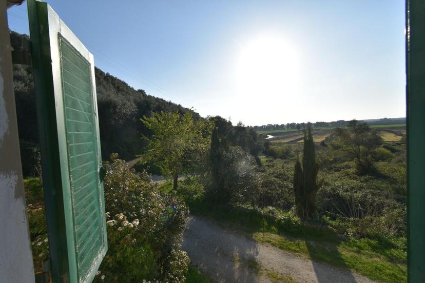 Terratetto, Vecchiano — foto 3 di 5