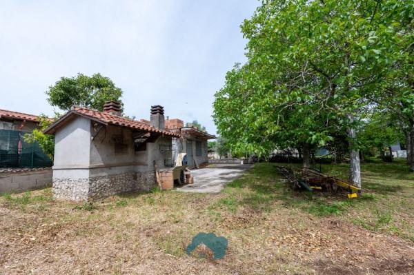 Rustico in Colle Pereto, Valmontone — foto 4 di 5