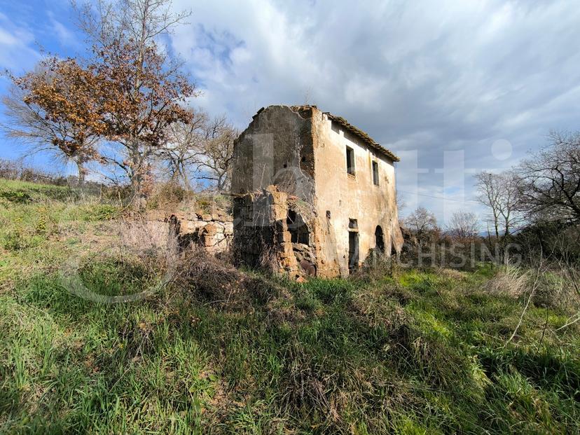 Rustico in Località Loiano Snc, Gallese — foto 3 di 5