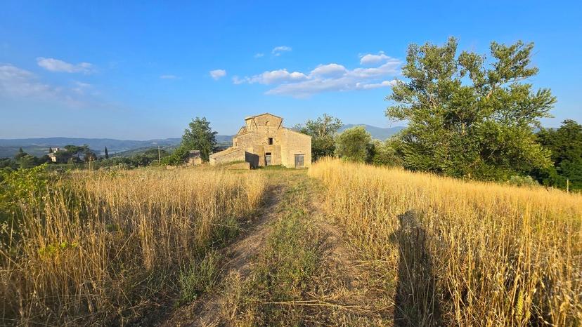 Rustico in Località Tordimonte Snc, Orvieto — foto 4 di 5