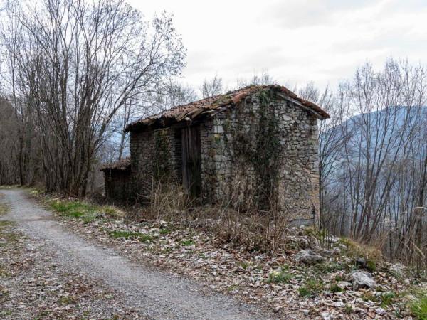 Rustico, Vedeseta