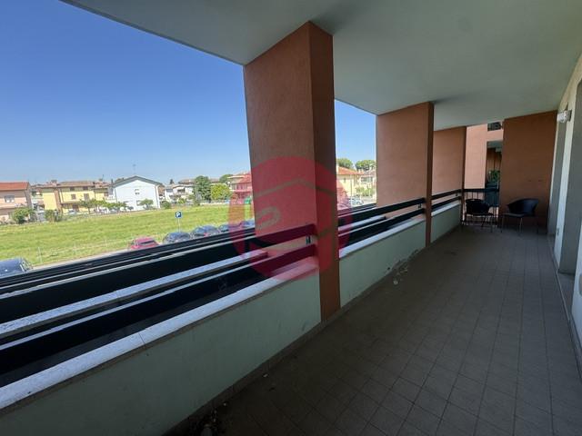 Trilocale, Gambettola — foto 3 di 5