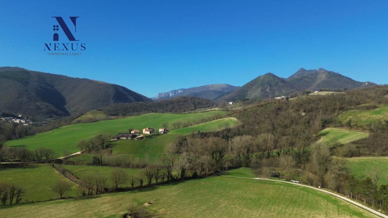 Rustico, Sassoferrato